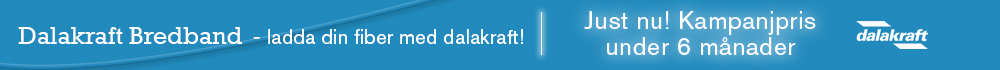 stadsnatportalen_bannerny4